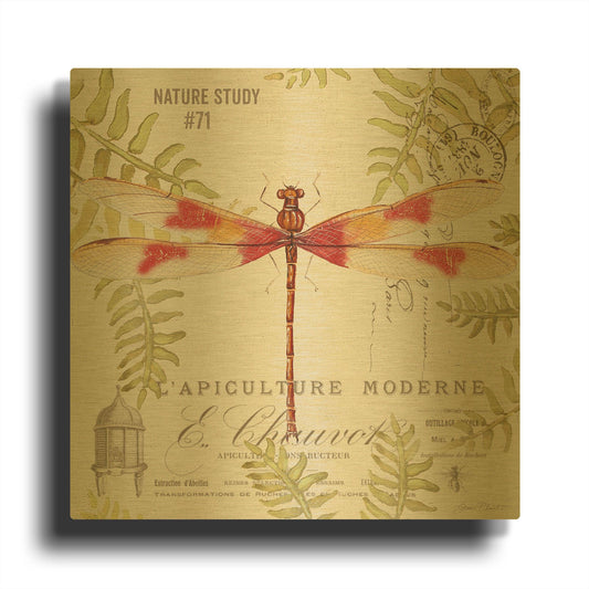 'Botanical Dragonfly 7' By Jean Plout Gold Metal Wall Art