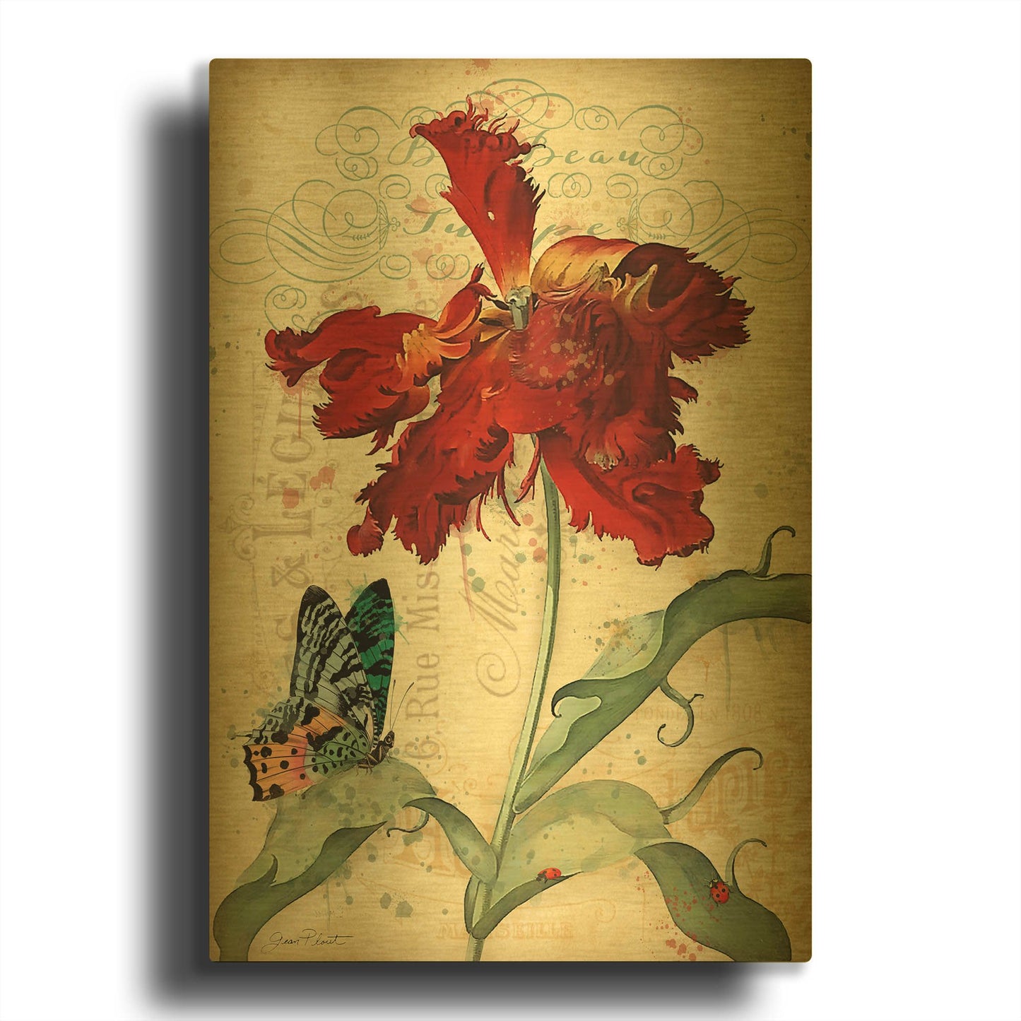 'French Florals 3' By Jean Plout Gold Metal Wall Art