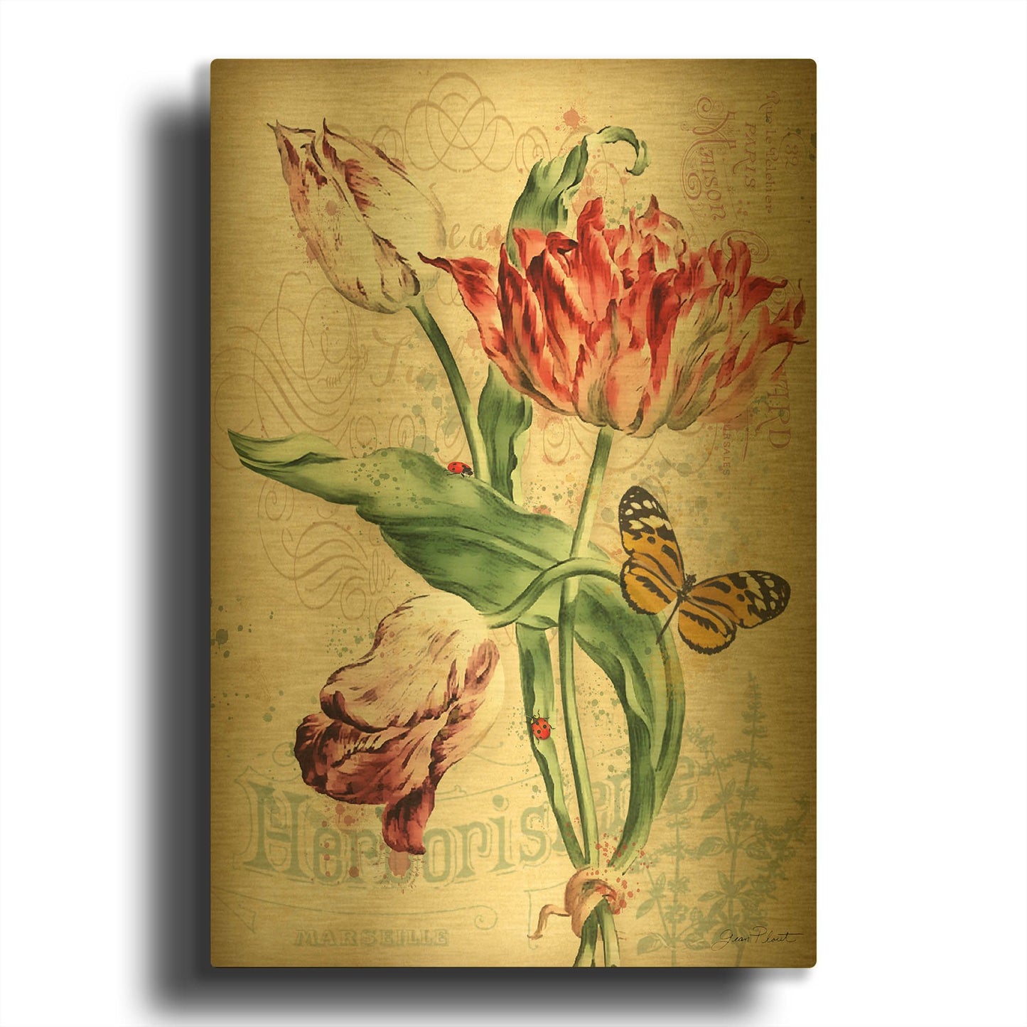 'French Florals 2' By Jean Plout Gold Metal Wall Art
