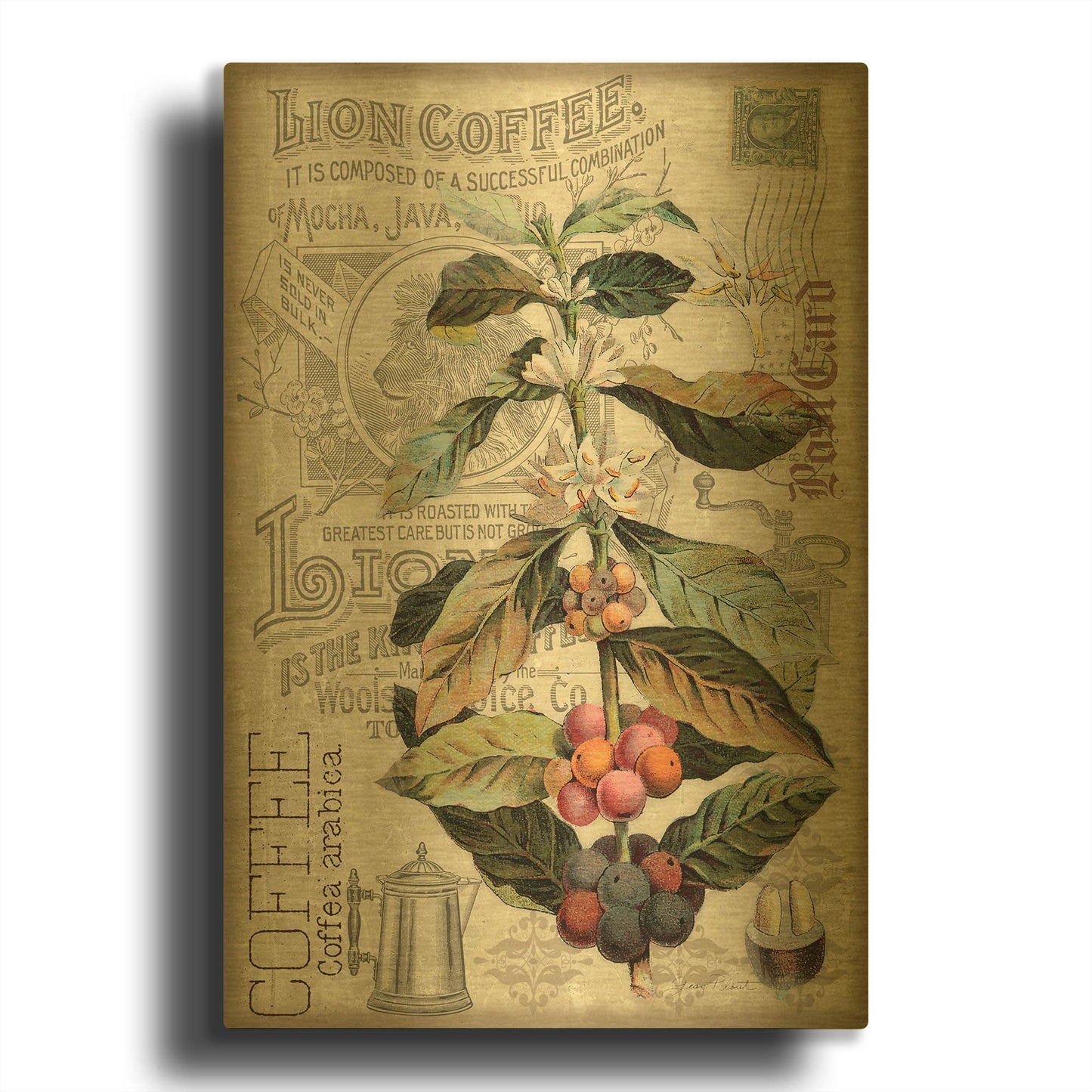 'Lion Coffee' By Jean Plout Gold Metal Wall Art