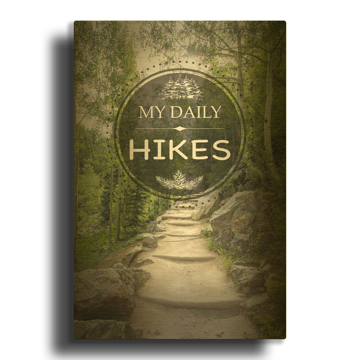 'My Daily Hikes' By Jean Plout Gold Metal Wall Art