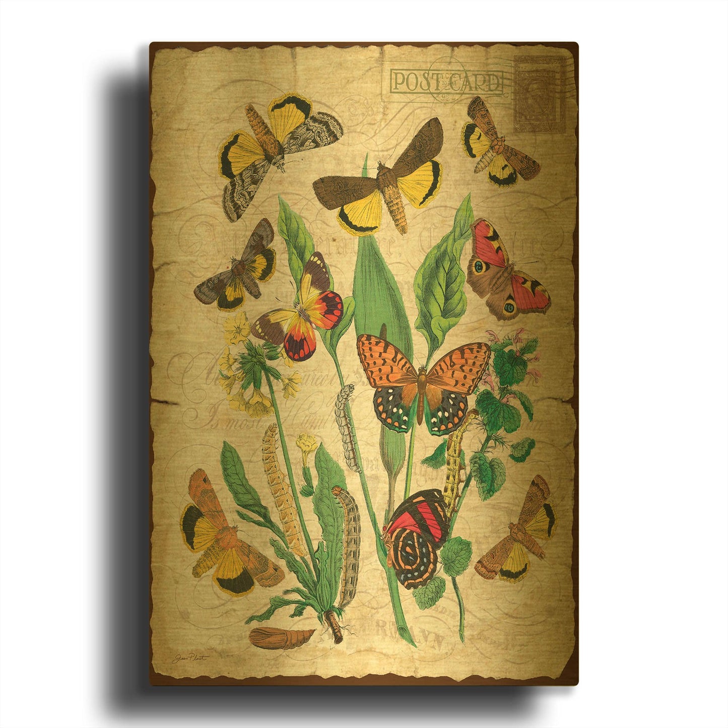 'Natures Beauty No.1' By Jean Plout Gold Metal Wall Art
