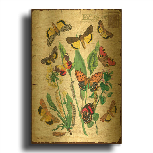'Natures Beauty No.1' By Jean Plout Gold Metal Wall Art