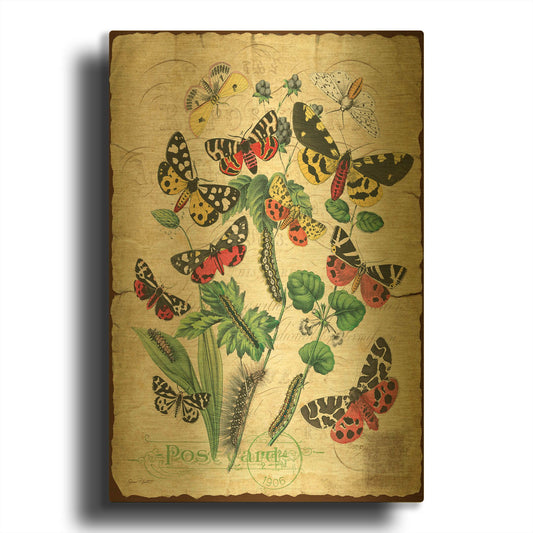 'Natures Beauty' By Jean Plout Gold Metal Wall Art