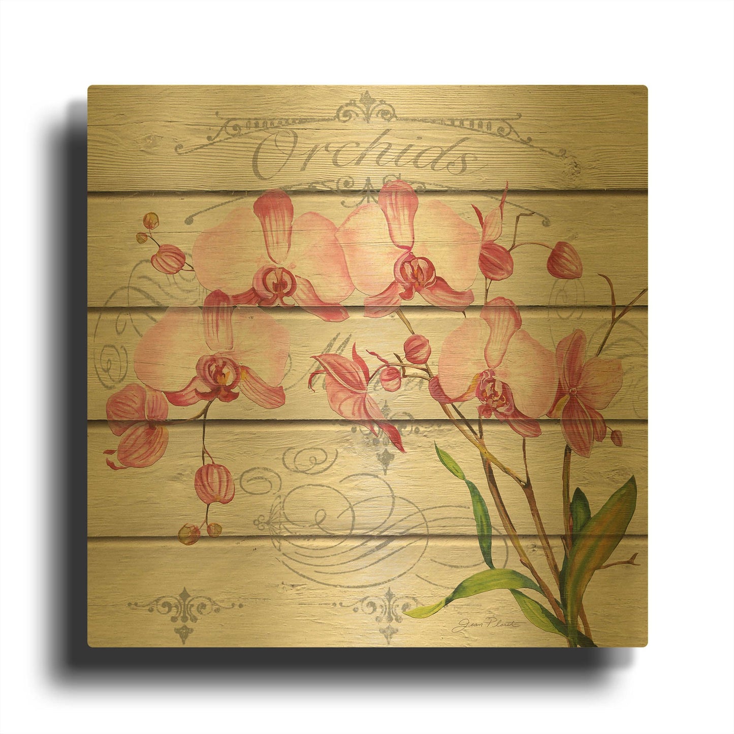 'Pink Orchids' By Jean Plout Gold Metal Wall Art