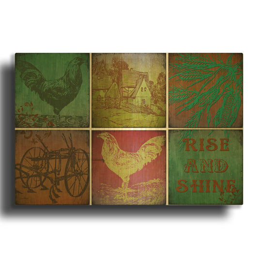 'Rooster Set 0f 6' By Jean Plout Gold Metal Wall Art