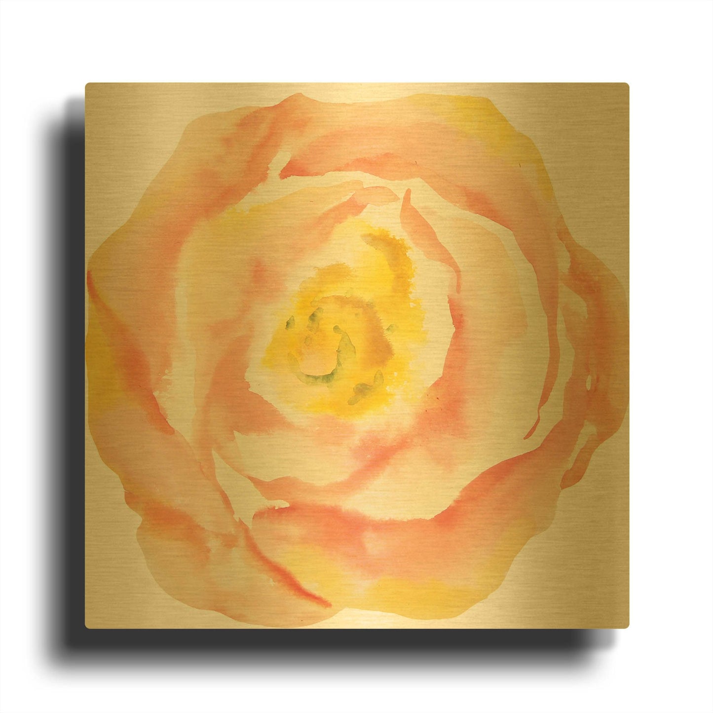 'Washy Rose' By Jean Plout Gold Metal Wall Art