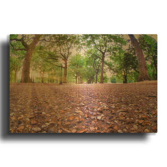 'Down Low In Green Park' By Mark A Paulda Gold Metal Wall Art