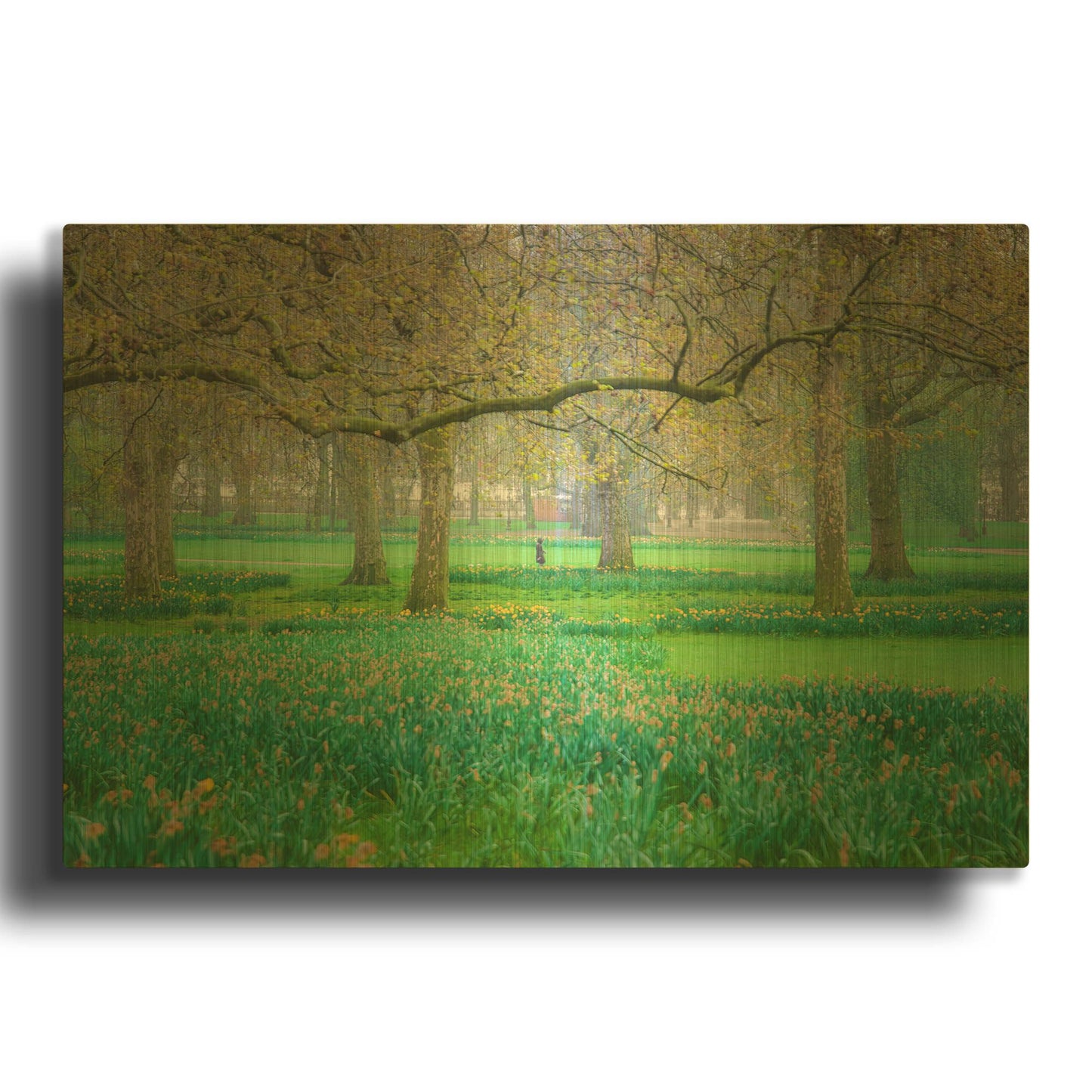 'Green Park Early Morning Fog' By Mark A Paulda Gold Metal Wall Art