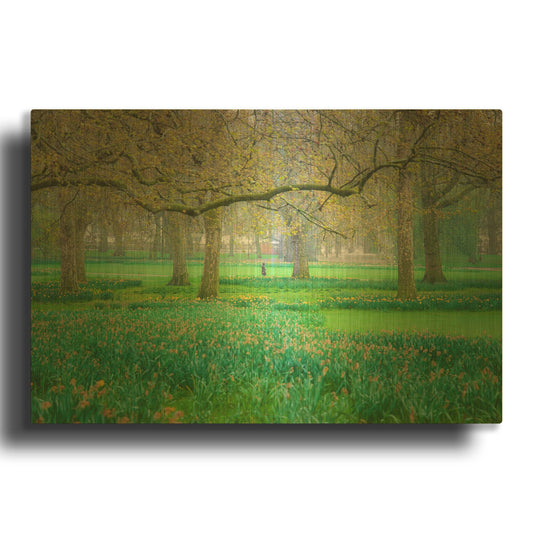 'Green Park Early Morning Fog' By Mark A Paulda Gold Metal Wall Art
