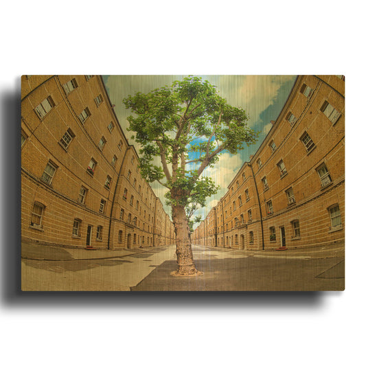 'Housing Estate Garden' By Mark A Paulda Gold Metal Wall Art