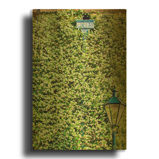 'Lamp Post And Flowering Vines' By Mark A Paulda Gold Metal Wall Art