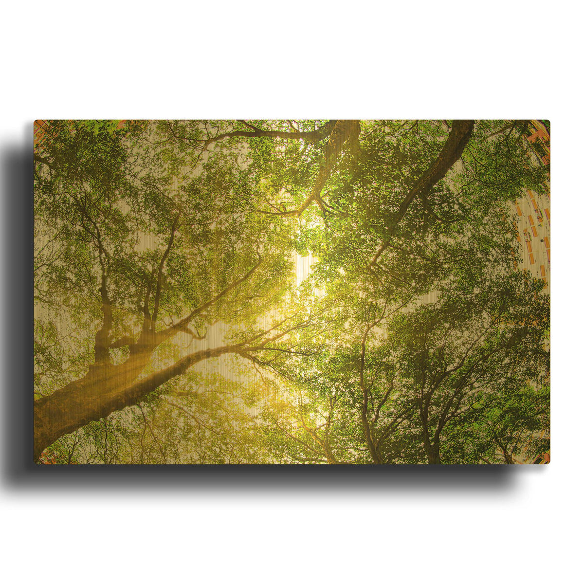 'London Treetops II' By Mark A Paulda Gold Metal Wall Art