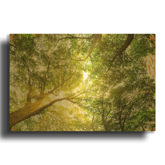 'London Treetops II' By Mark A Paulda Gold Metal Wall Art