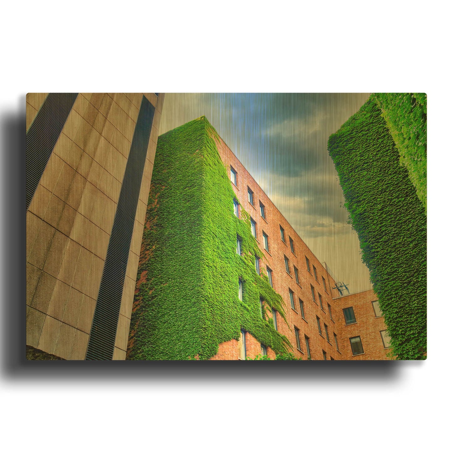 'Nature Reclamation' By Mark A Paulda Gold Metal Wall Art