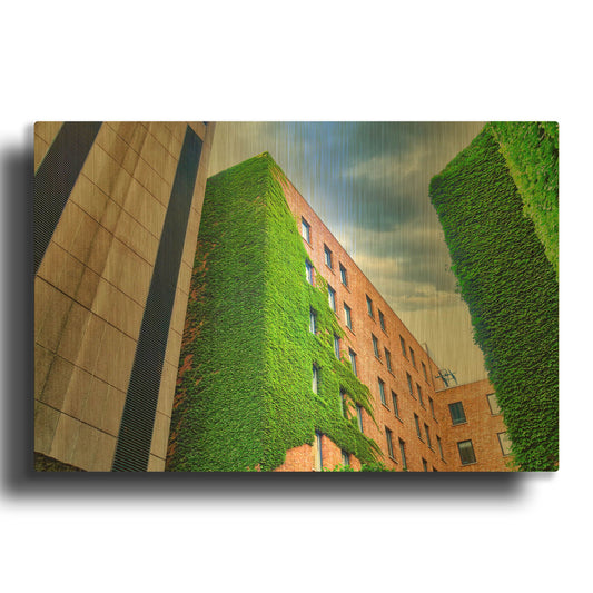 'Nature Reclamation' By Mark A Paulda Gold Metal Wall Art