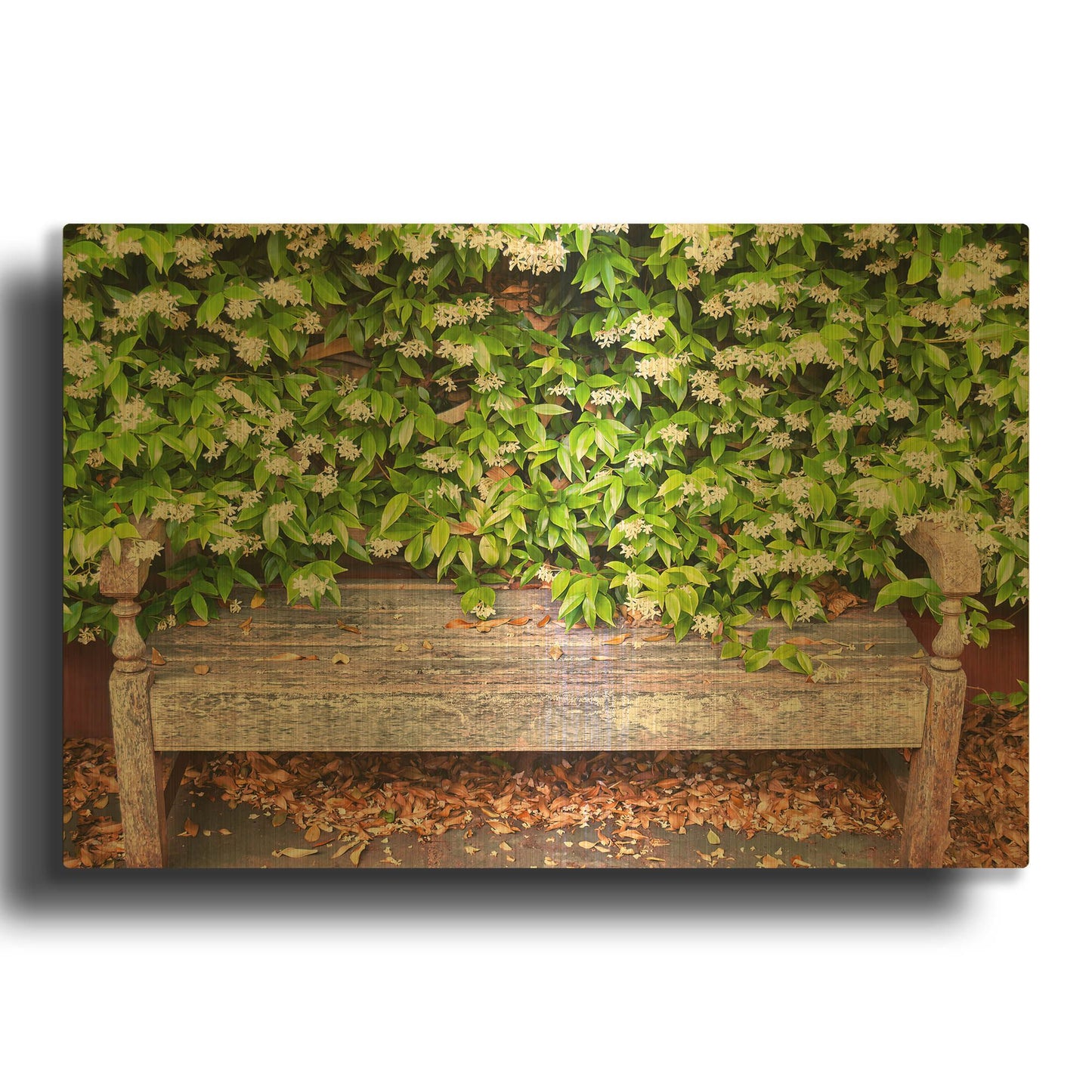 'Nature's Bench' By Mark A Paulda Gold Metal Wall Art