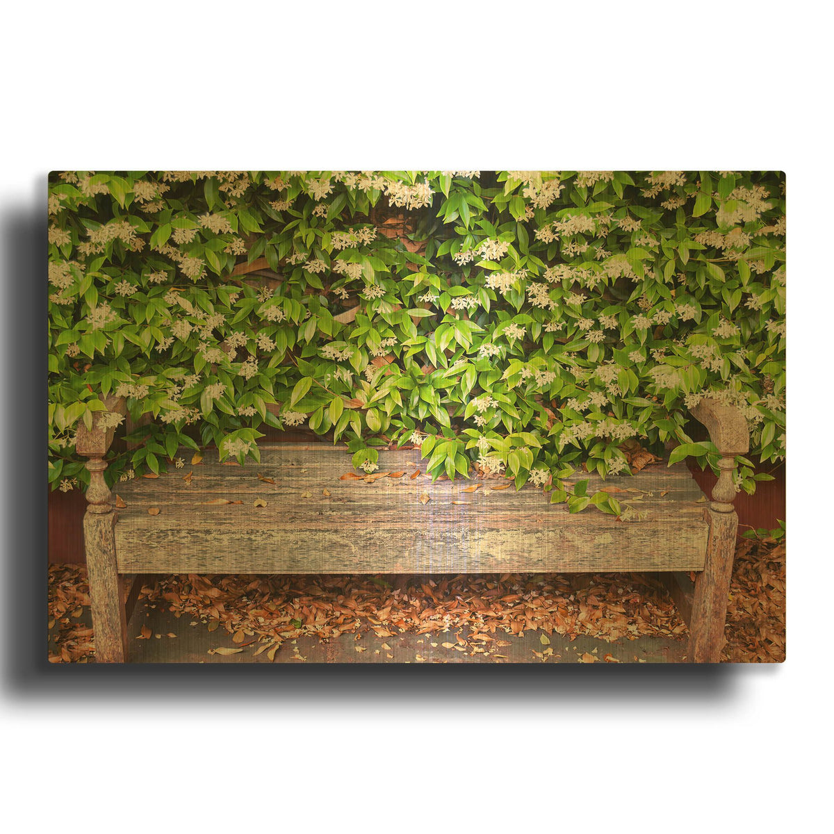 'Nature's Bench' By Mark A Paulda Gold Metal Wall Art