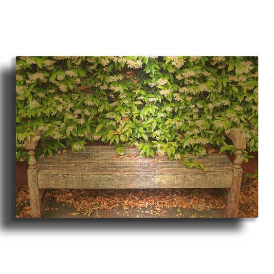 'Nature's Bench' By Mark A Paulda Gold Metal Wall Art