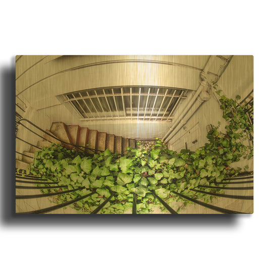 'Nature's Entrance' By Mark A Paulda Gold Metal Wall Art