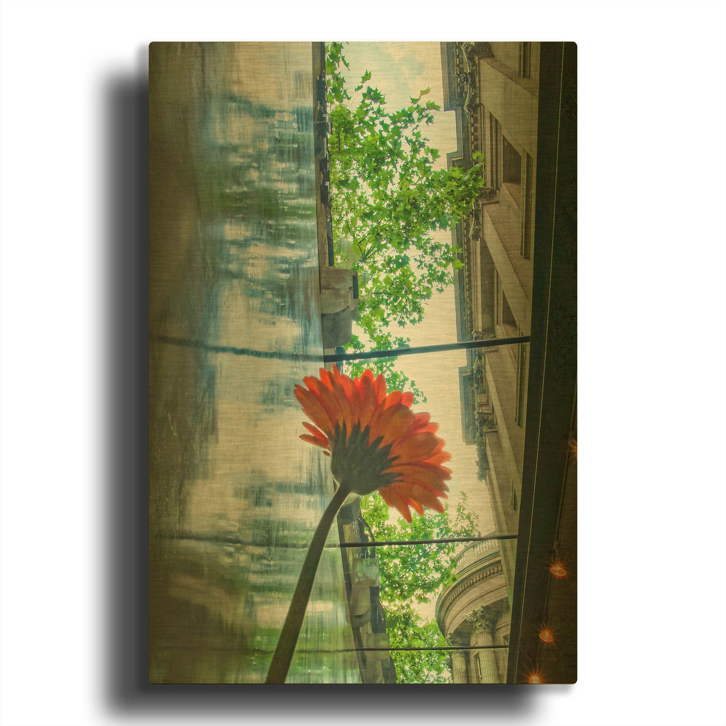 'Seeking Light' By Mark A Paulda Gold Metal Wall Art