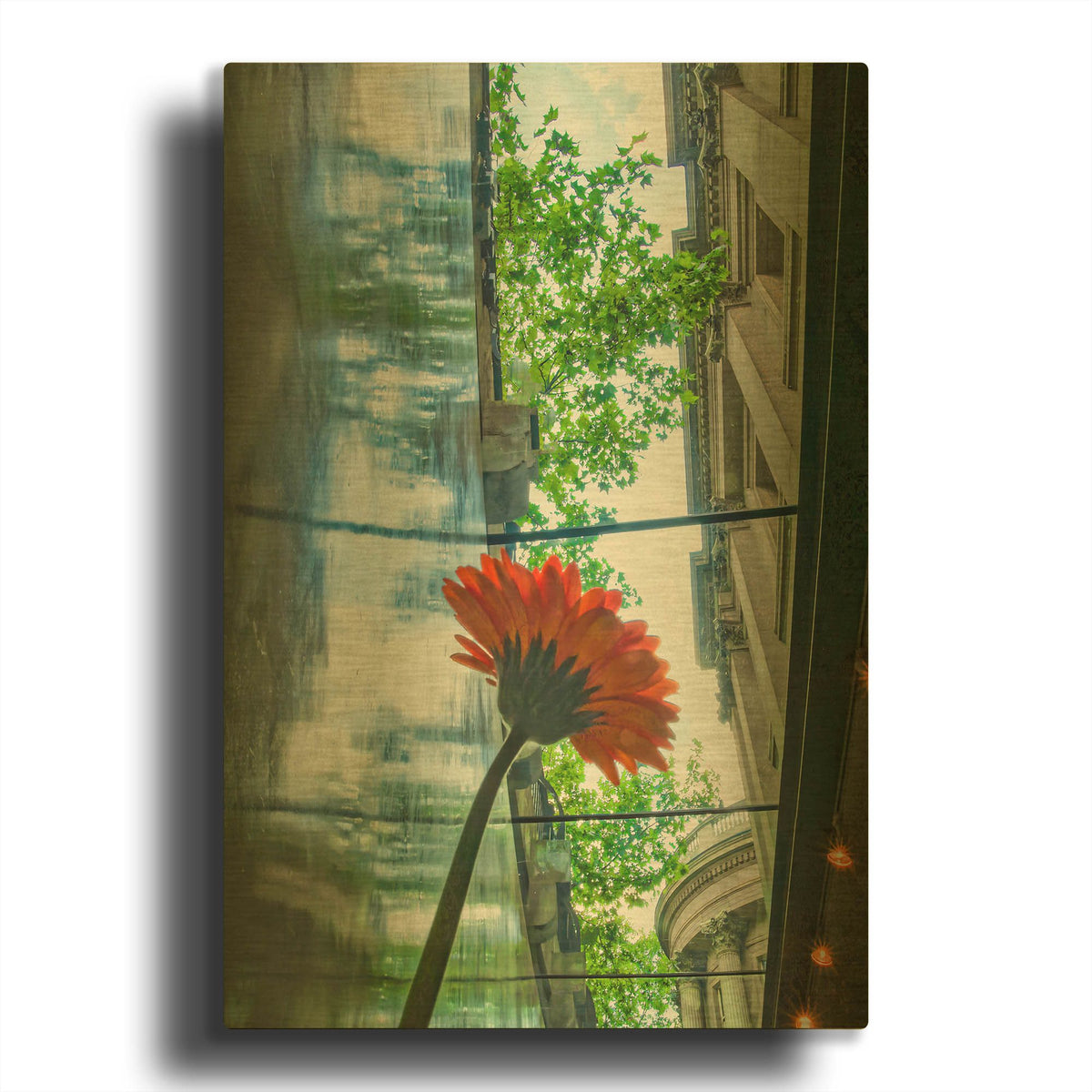 'Seeking Light' By Mark A Paulda Gold Metal Wall Art