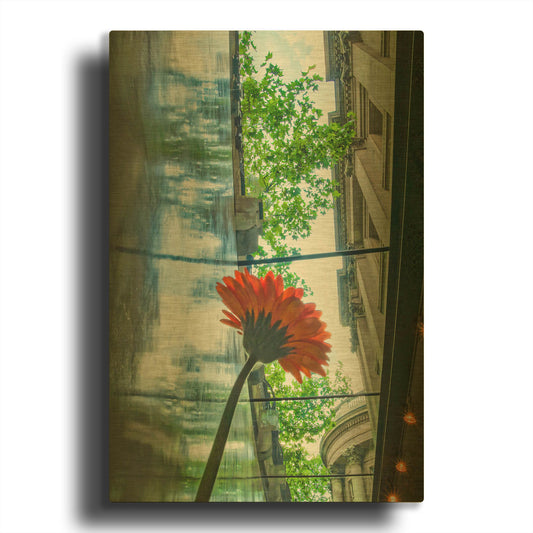 'Seeking Light' By Mark A Paulda Gold Metal Wall Art
