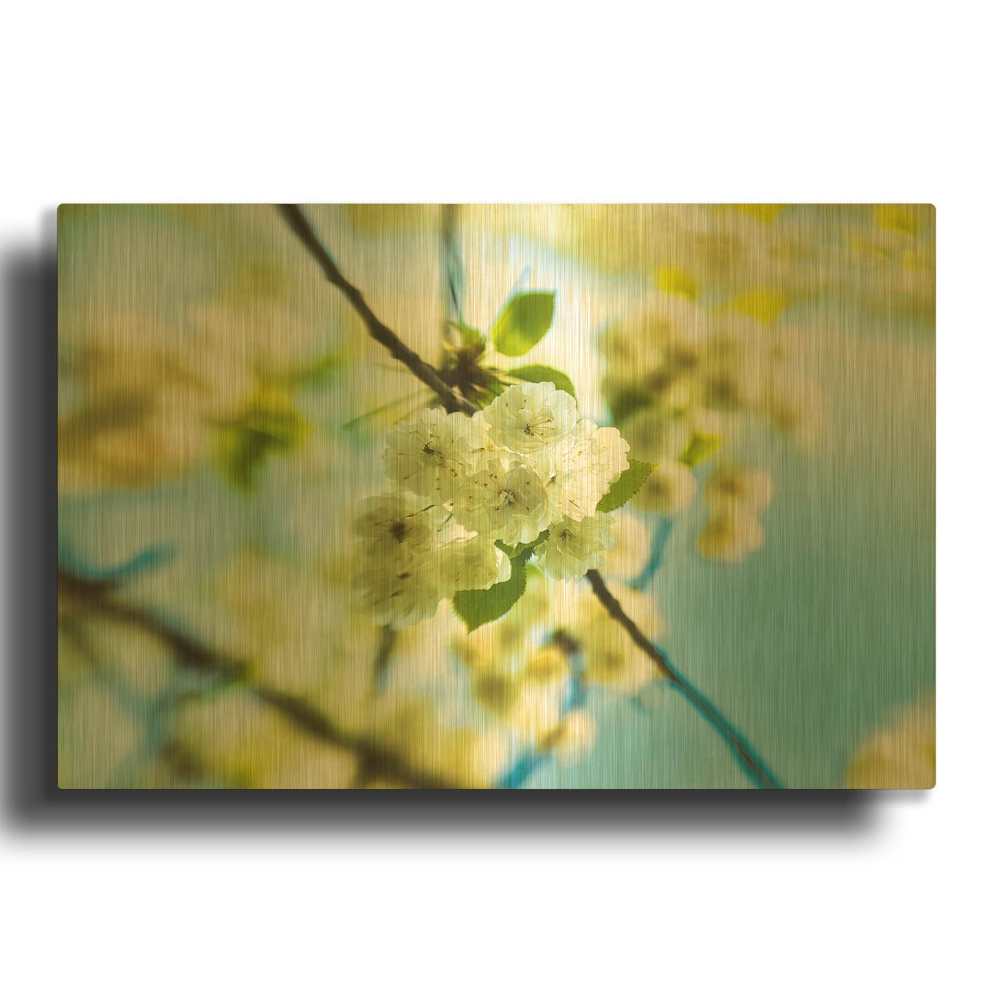 'Spring Flowers' By Mark A Paulda Gold Metal Wall Art