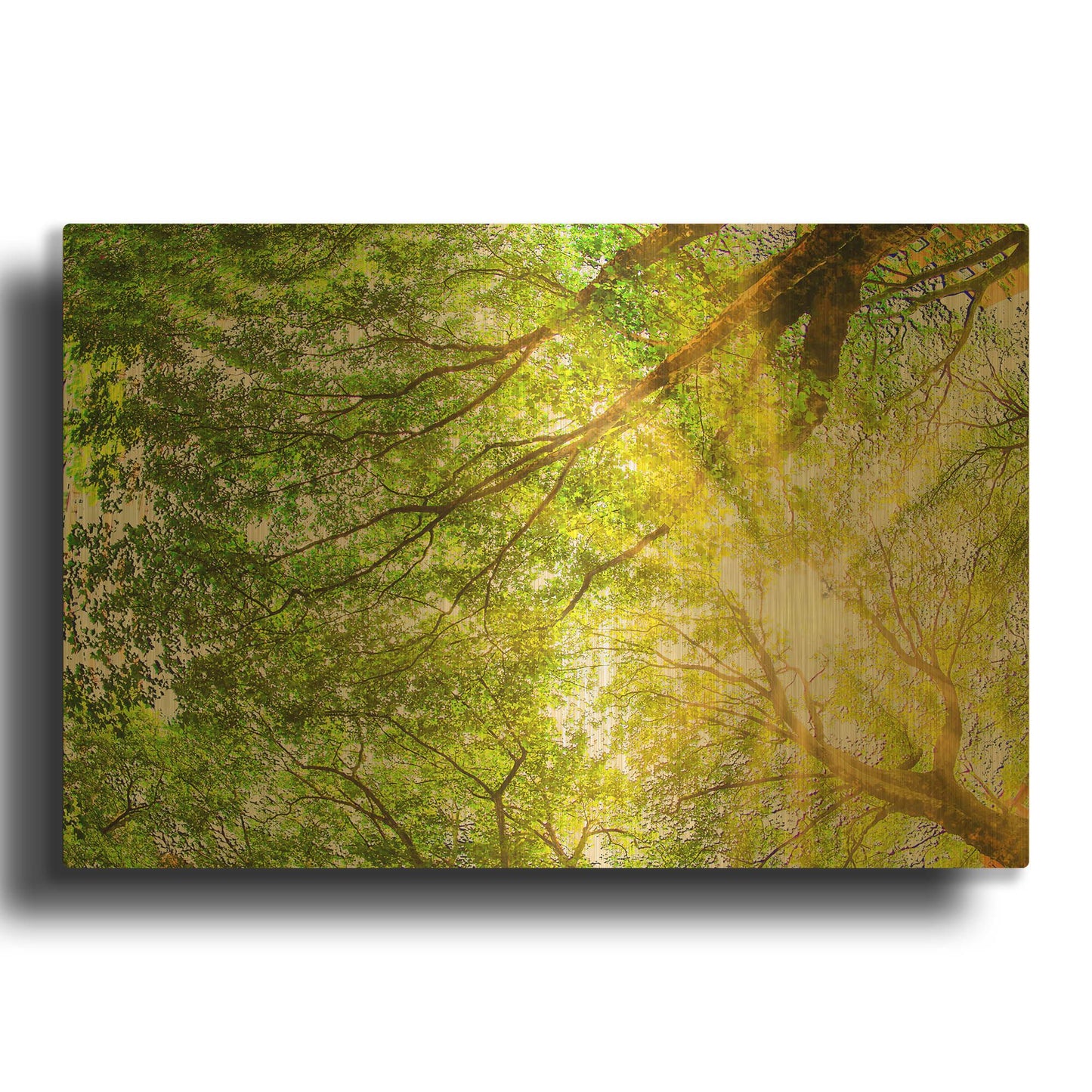 'Sunrays Through The Treetops' By Mark A Paulda Gold Metal Wall Art