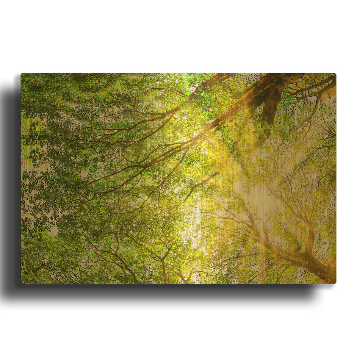 'Sunrays Through The Treetops' By Mark A Paulda Gold Metal Wall Art