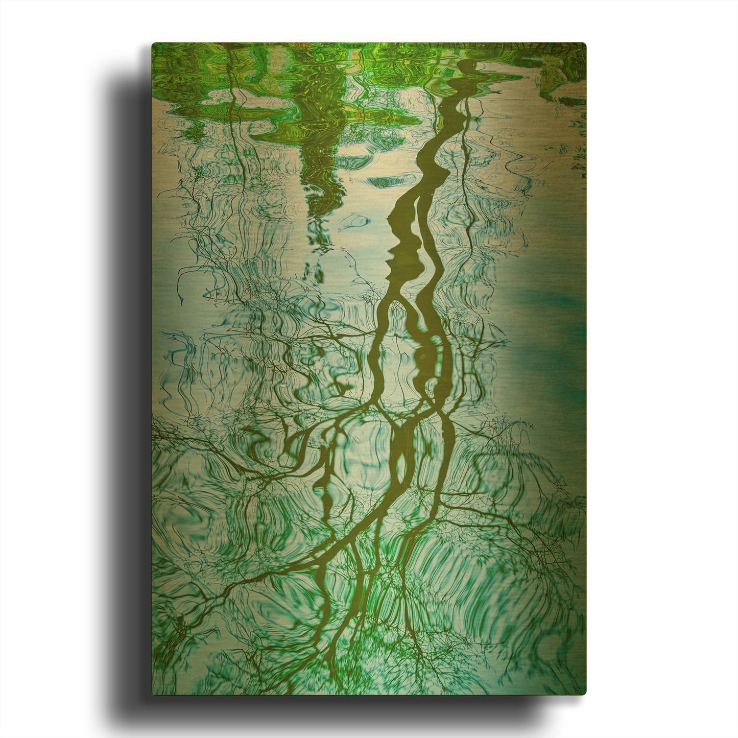 'Tree Reflection' By Mark A Paulda Gold Metal Wall Art