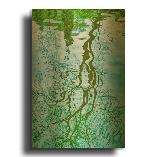 'Tree Reflection' By Mark A Paulda Gold Metal Wall Art