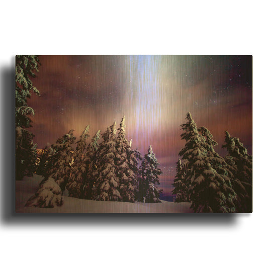 'Winter Nights' By Darren White Gold Metal Wall Art