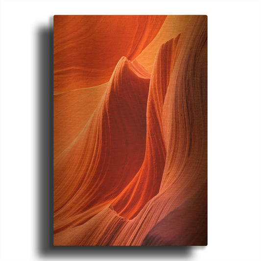 'Antelope Closeup 0001' By Mike Jones Gold Metal Wall Art