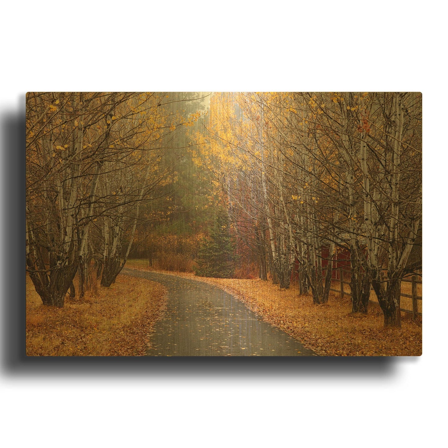 'Coeur D' By Mike Jones Gold Metal Wall Art