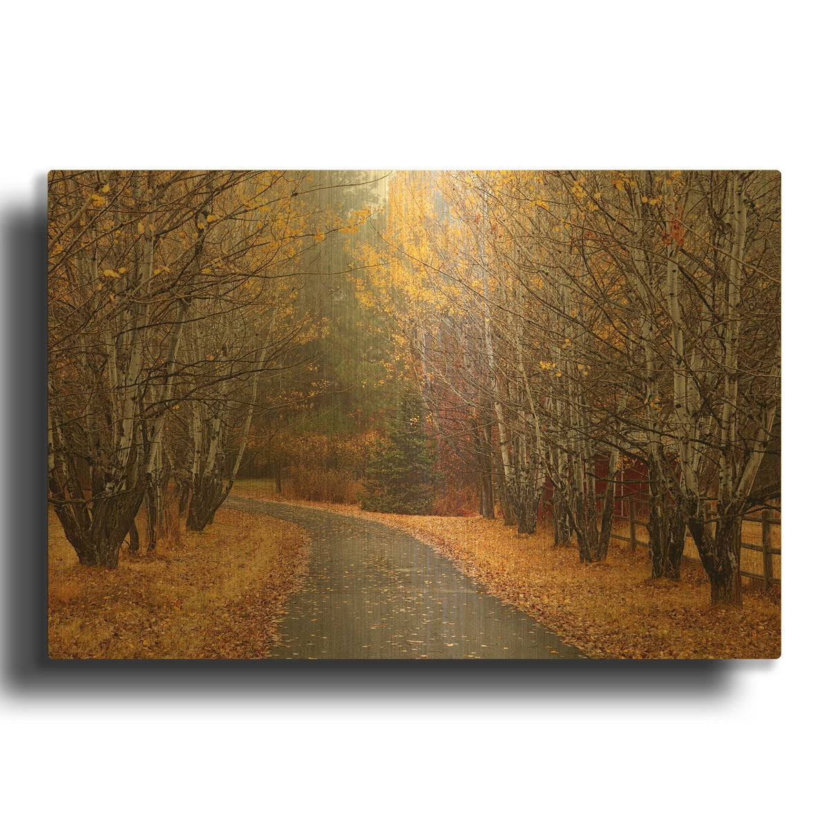 'Coeur D' By Mike Jones Gold Metal Wall Art