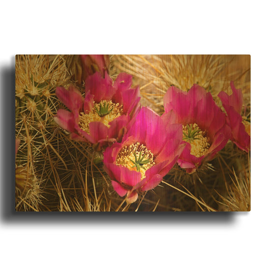 'Hedgehog Blooms Az 7131' By Mike Jones Gold Metal Wall Art