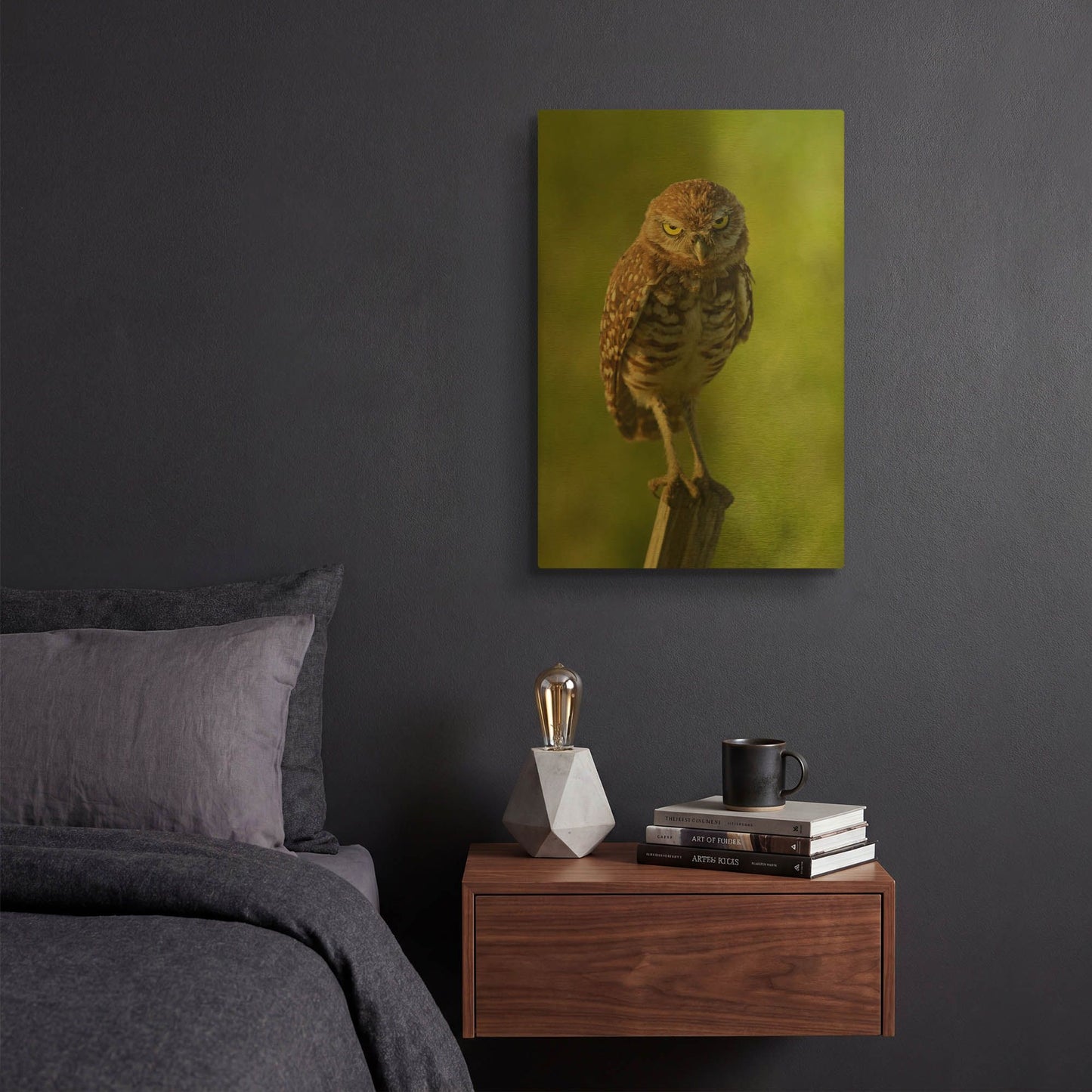 'Mad Burrowing Owl 4183' By Mike Jones Gold Metal Wall Art