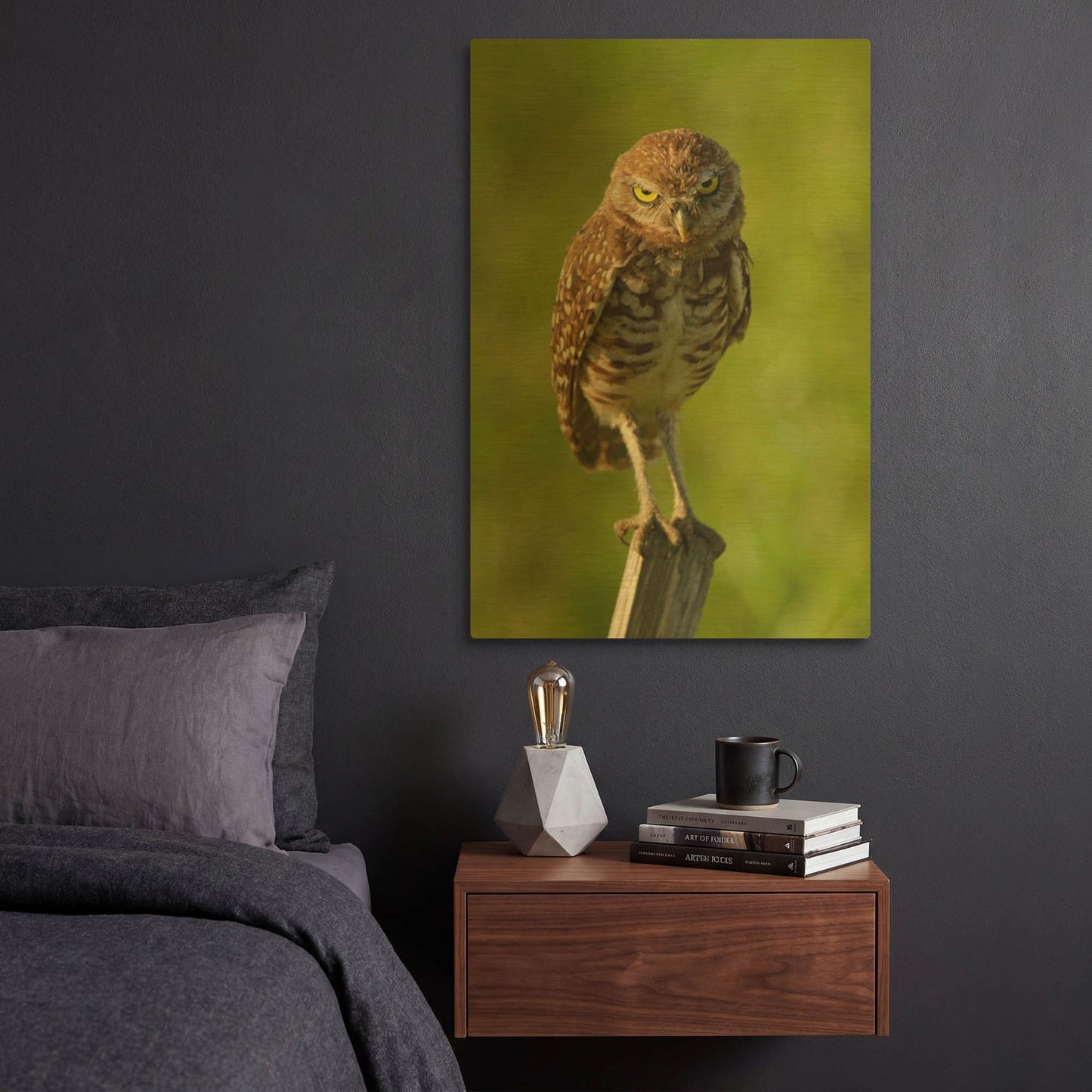 'Mad Burrowing Owl 4183' By Mike Jones Gold Metal Wall Art