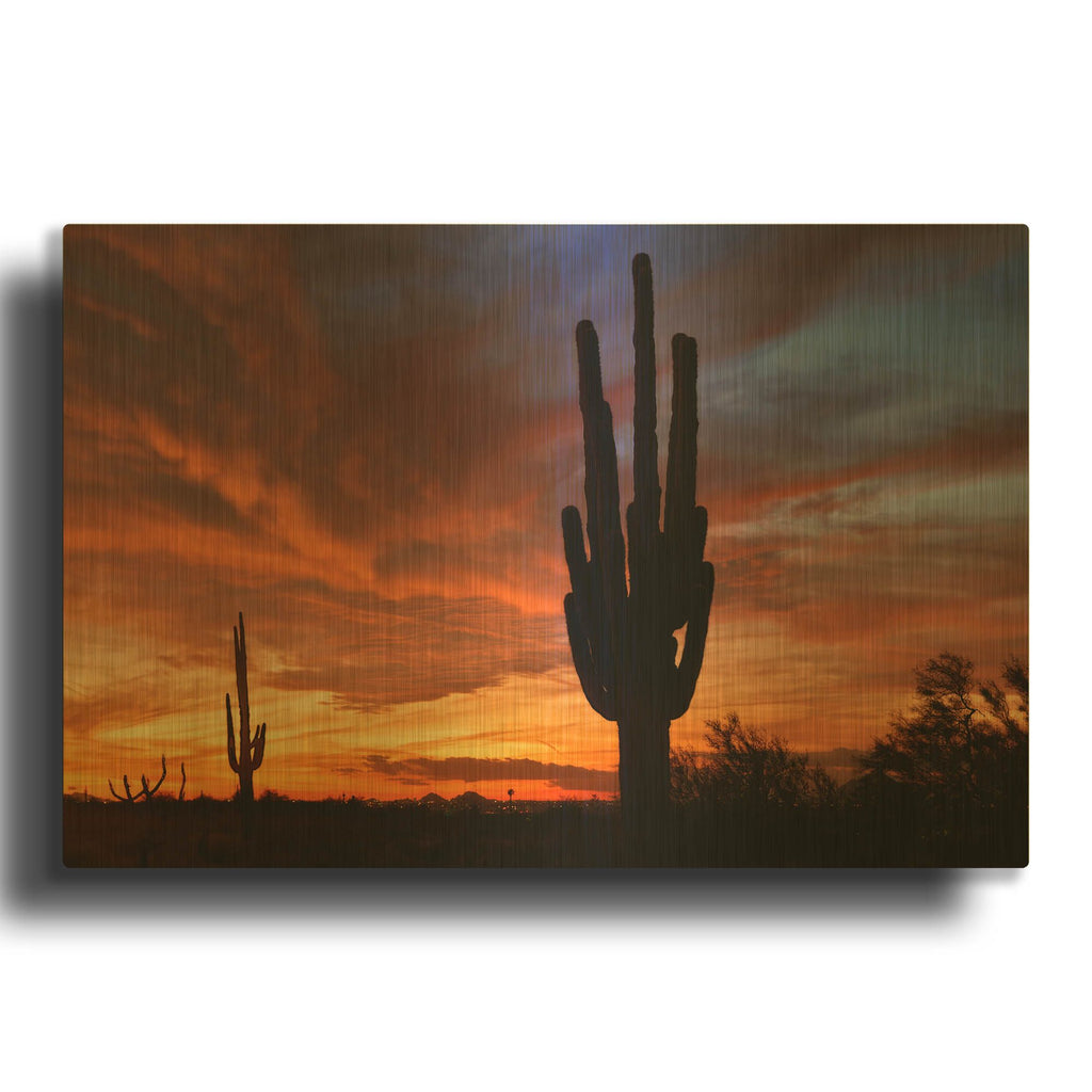 'Mesa Saguaro Sunset 5078' By Mike Jones Gold Metal Wall Art