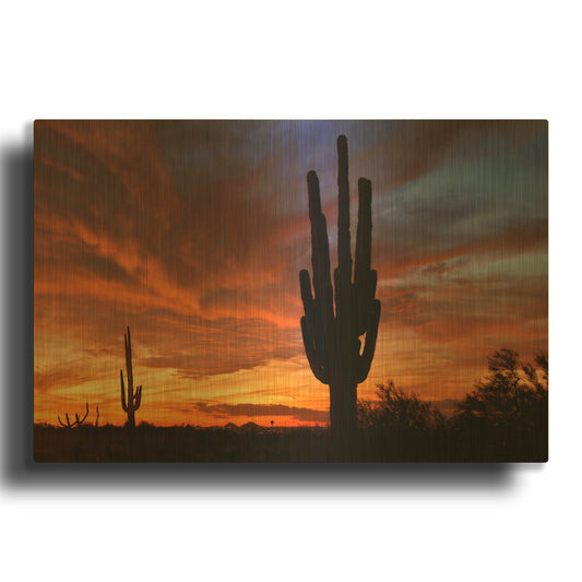'Mesa Saguaro Sunset 5078' By Mike Jones Gold Metal Wall Art