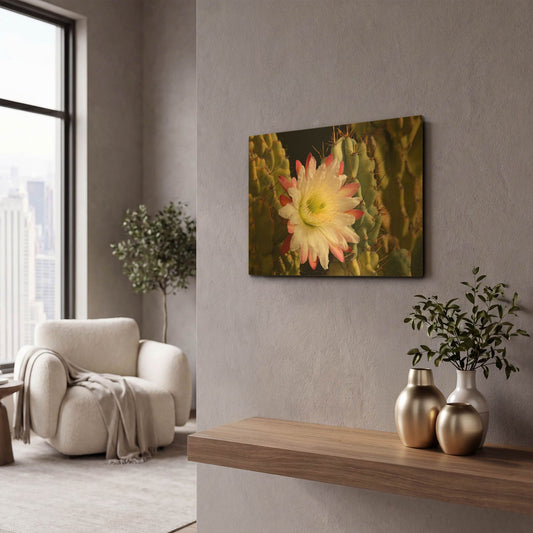 'Night Cactus Bloom Az 8663' By Mike Jones Gold Metal Wall Art