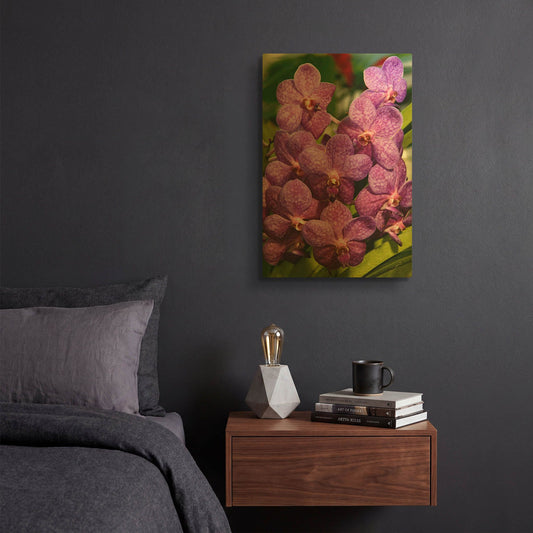 'Orchids Purple Fl 9222' By Mike Jones Gold Metal Wall Art