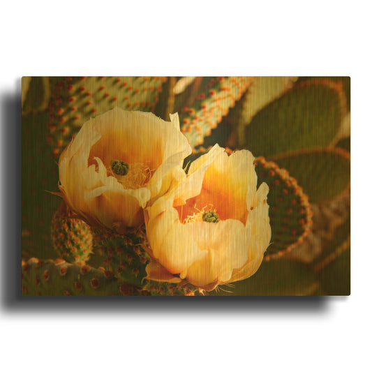 'Prickly Pear Cactus Blooms Az 8639' By Mike Jones Gold Metal Wall Art