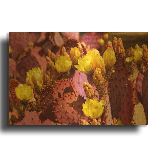 'Purple Prickly Pear Blooms Az 7727' By Mike Jones Gold Metal Wall Art