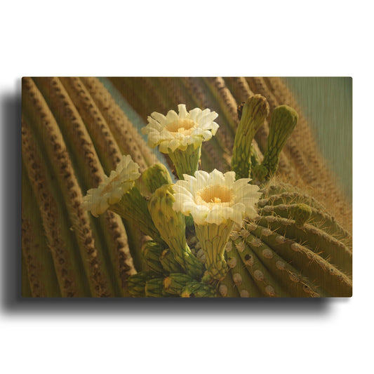 'Saguaro Cactus Blooms Az 8745' By Mike Jones Gold Metal Wall Art