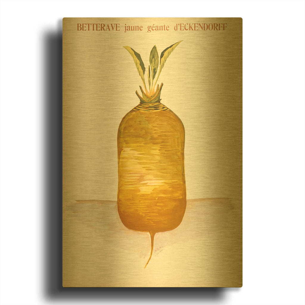 'Betterave- Jaune Geante' By Vintage Posters Gold Metal Wall Art