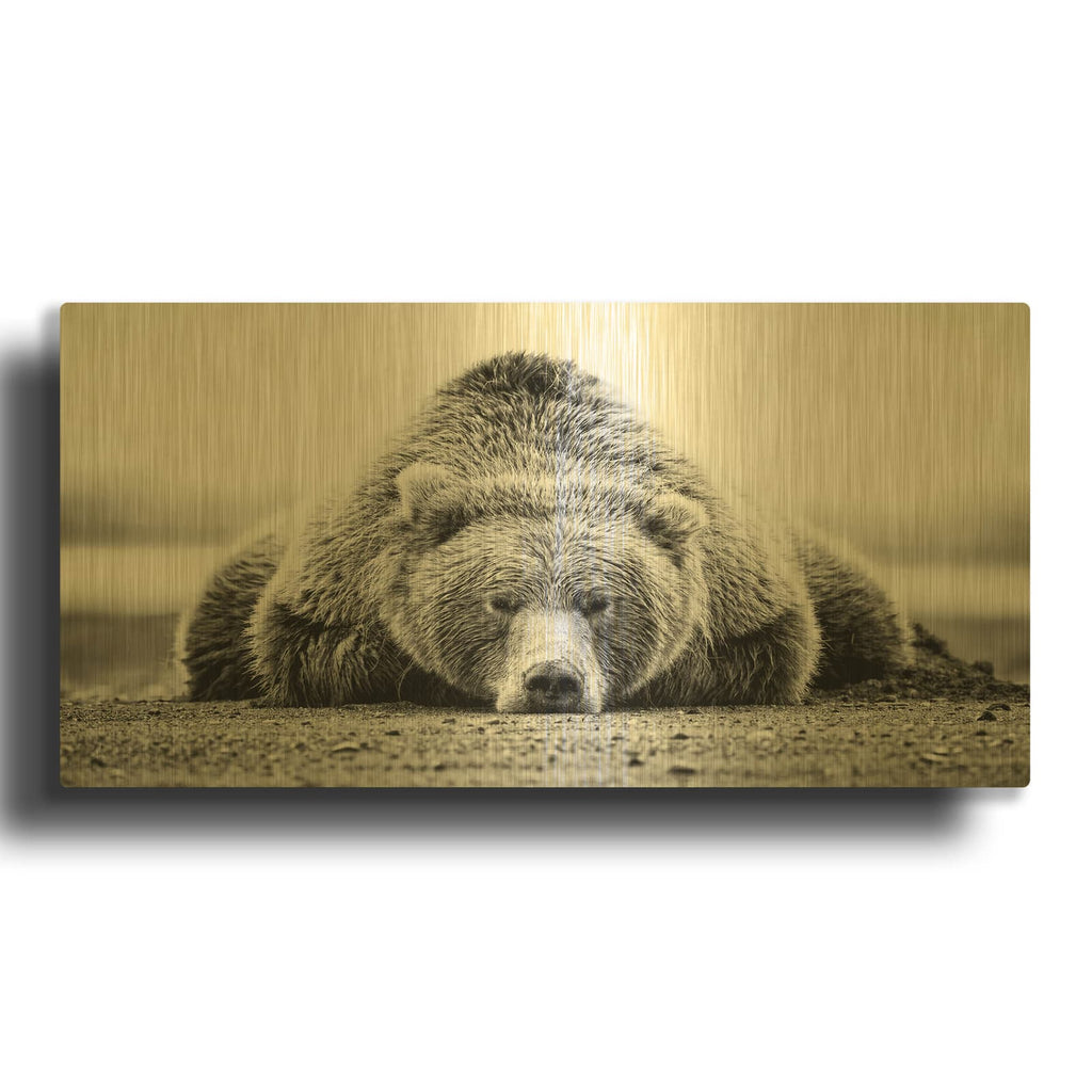 'Resting Grizzly' By Rich Monet Gold Metal Wall Art