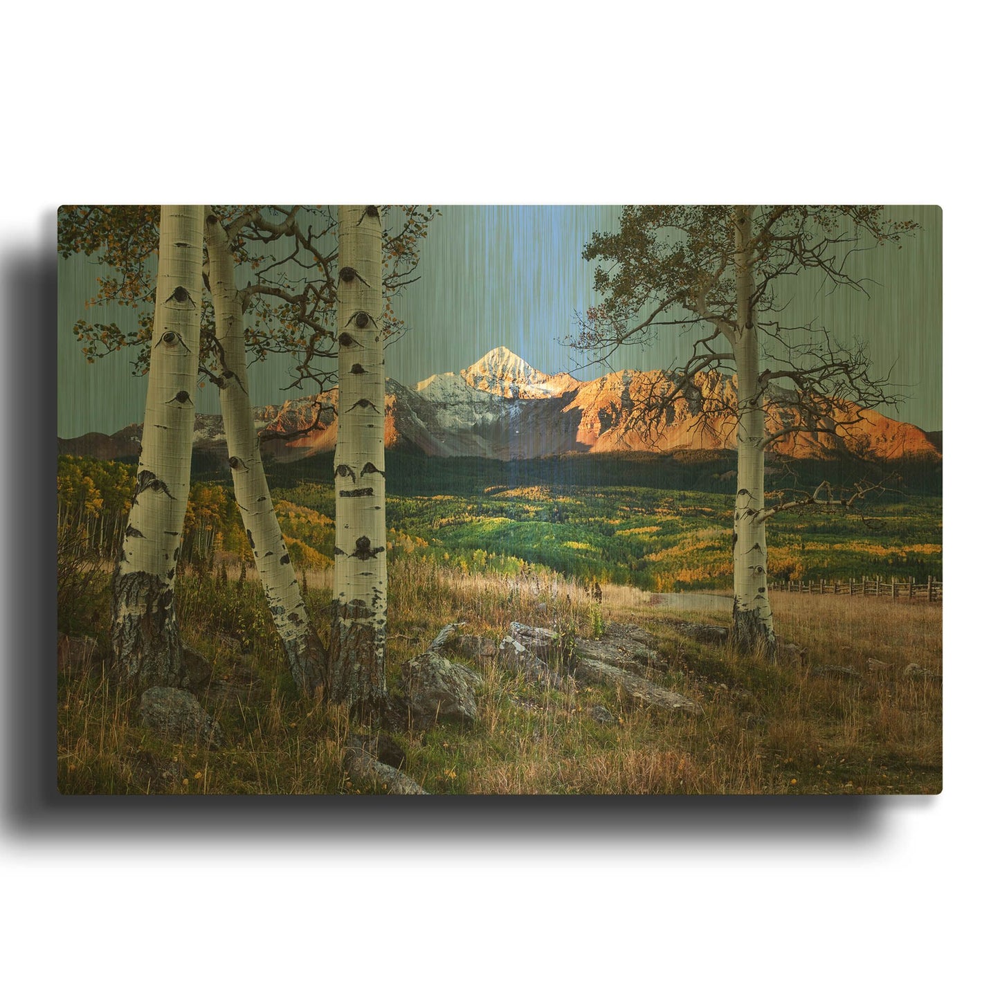 'Wilson Peak Foreground Aspens' By Larry Malvin Gold Metal Wall Art
