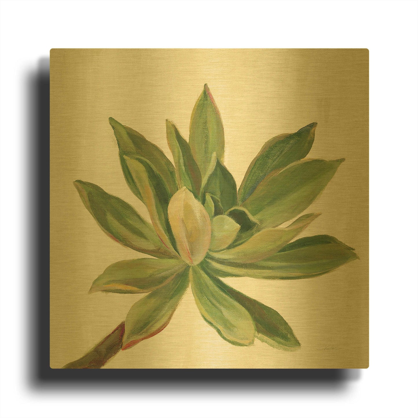 'Front Yard Succulent I' By Silvia Vassileva Gold Metal Wall Art
